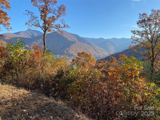 40 Cougar Ln Unit 13, 14, 15, 16, Maggie Valley, NC 28751 - photo 18