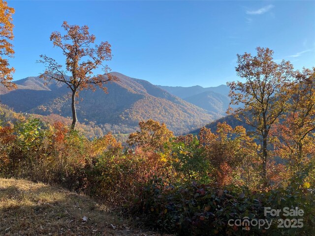 40 Cougar Ln Unit 13, 14, 15, 16, Maggie Valley, NC 28751 - photo 19