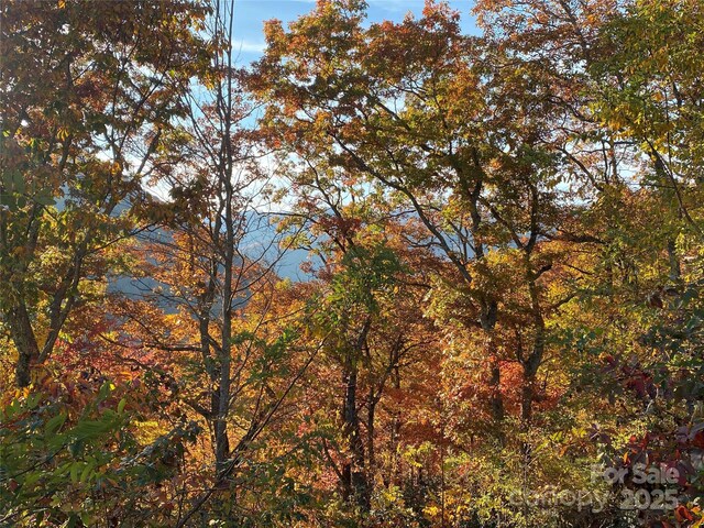 40 Cougar Ln Unit 13, 14, 15, 16, Maggie Valley, NC 28751 - photo 22