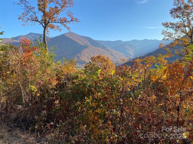 40 Cougar Ln Unit 13, 14, 15, 16, Maggie Valley, NC 28751 - photo 23