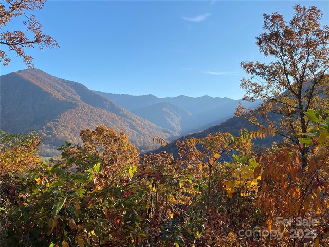 40 Cougar Ln Unit 13, 14, 15, 16, Maggie Valley, NC 28751 - photo 24