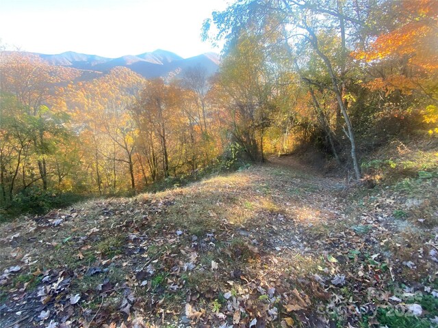 40 Cougar Ln Unit 13, 14, 15, 16, Maggie Valley, NC 28751 - photo 25