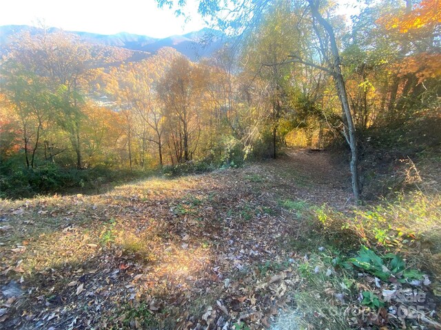 40 Cougar Ln Unit 13, 14, 15, 16, Maggie Valley, NC 28751 - photo 26