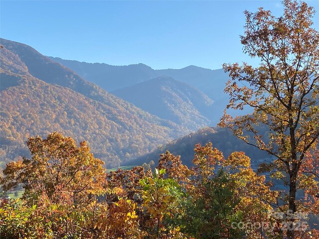40 Cougar Ln Unit 13, 14, 15, 16, Maggie Valley, NC 28751 - photo 34