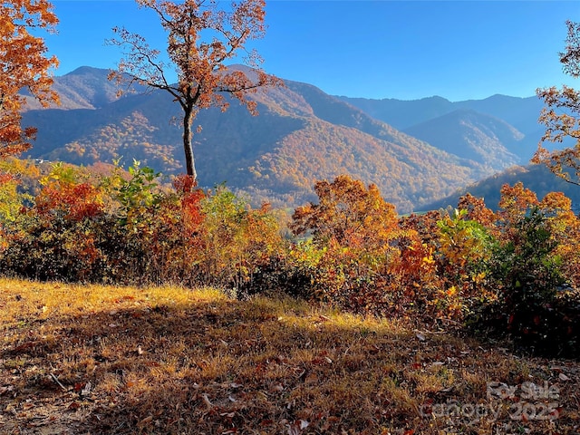 40 Cougar Ln Unit 13, 14, 15, 16, Maggie Valley, NC 28751 - photo 35