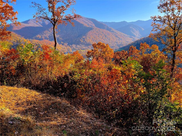 40 Cougar Ln Unit 13, 14, 15, 16, Maggie Valley, NC 28751 - photo 36