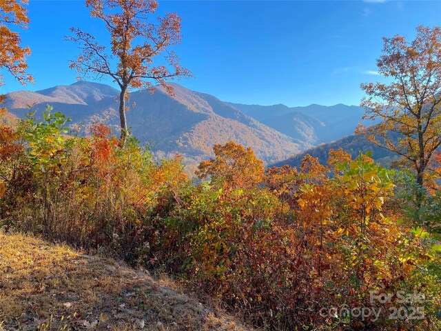 40 Cougar Ln Unit 13, 14, 15, 16, Maggie Valley, NC 28751 - photo 37