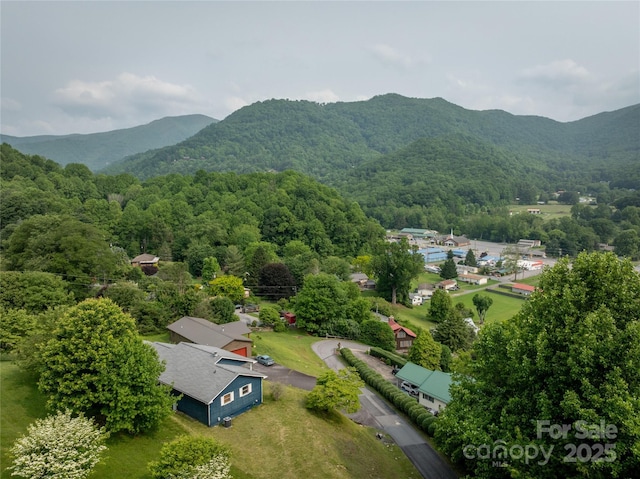 40 Cougar Ln Unit 13, 14, 15, 16, Maggie Valley, NC 28751 - photo 39