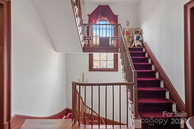 stairs with plenty of natural light and wood-type flooring