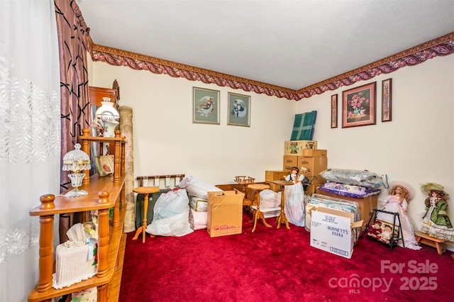 interior space featuring carpet floors