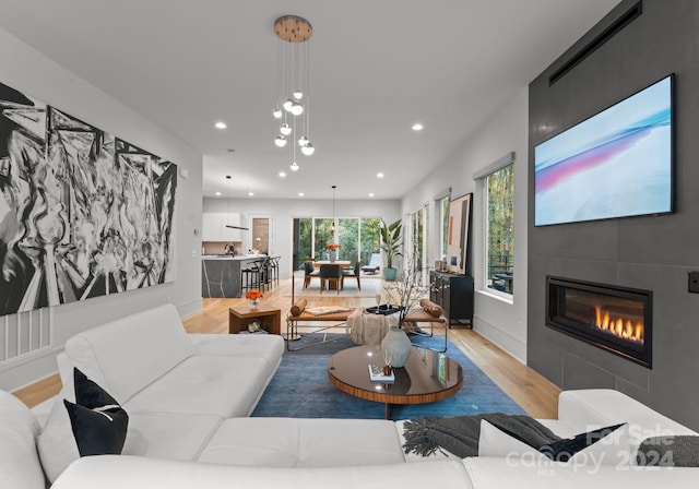 living room featuring light hardwood / wood-style floors and a fireplace