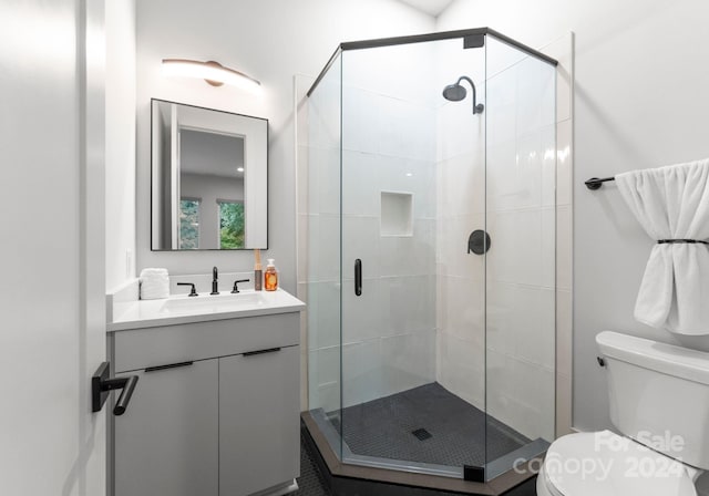 bathroom with toilet, walk in shower, and vanity