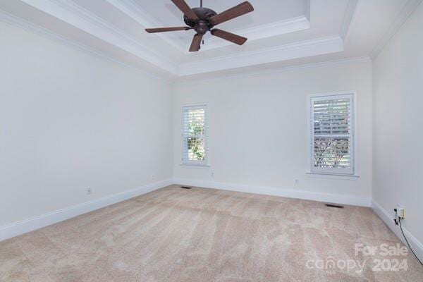 empty room featuring light colored carpet, plenty of natural light, a raised ceiling, and ornamental molding