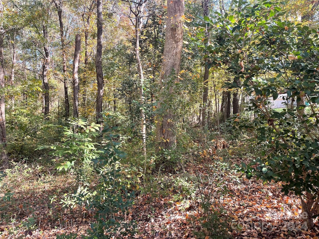 6330 Sunset Cir, Charlotte, NC 28216 - photo 2