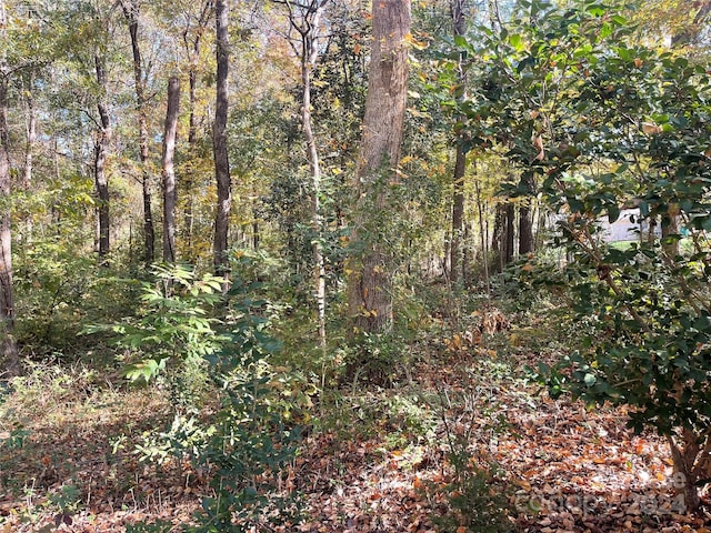 6330 Sunset Cir, Charlotte, NC 28216 - photo 2