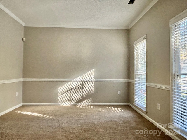 unfurnished room with carpet, a textured ceiling, and crown molding