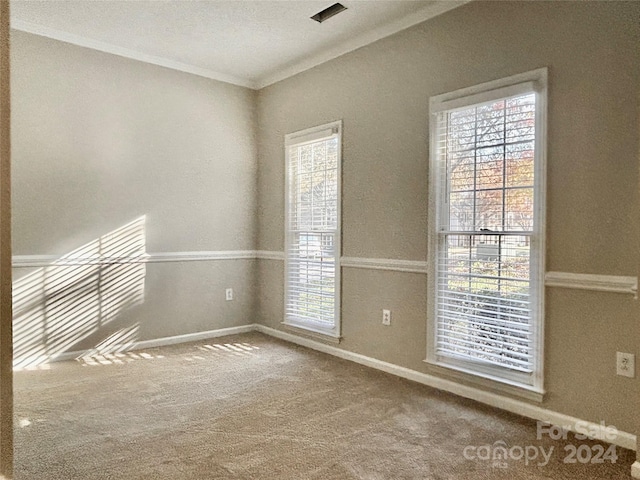 carpeted spare room with a textured ceiling and crown molding