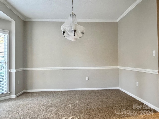 empty room with carpet, ornamental molding, and a textured ceiling