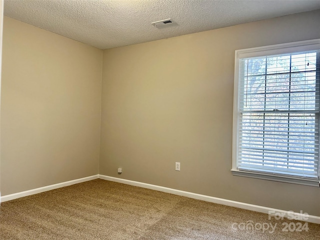 unfurnished room with carpet and a textured ceiling