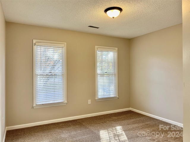 carpeted empty room with a textured ceiling and a healthy amount of sunlight