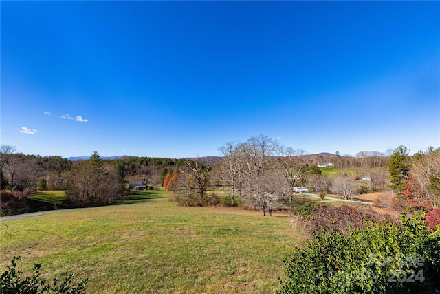 view of yard with a rural view