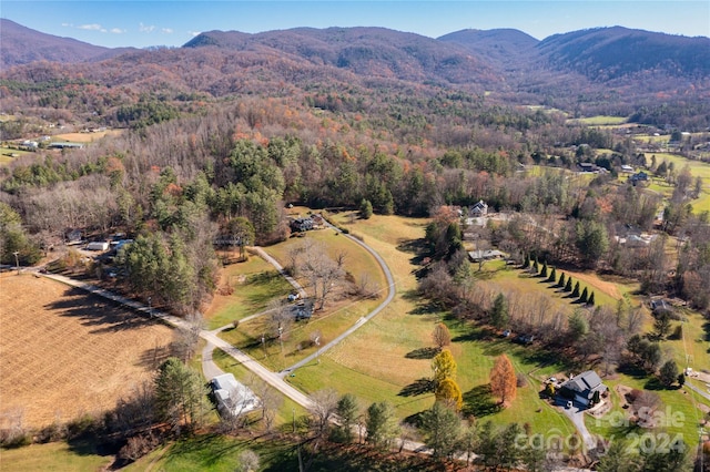 bird's eye view featuring a mountain view and a rural view