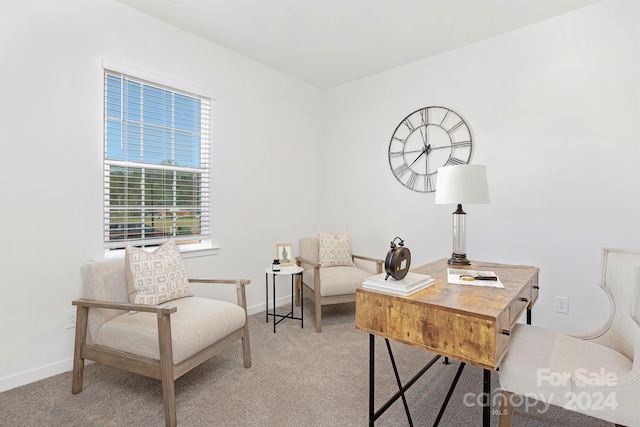 view of carpeted home office