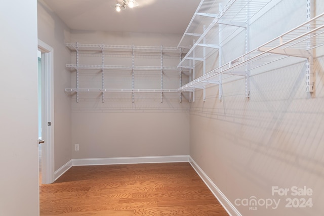 walk in closet with wood-type flooring