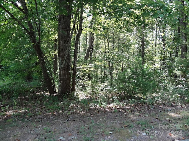 NA Georgetown Ln NE Unit 11, Lenoir NC, 28645 land for sale