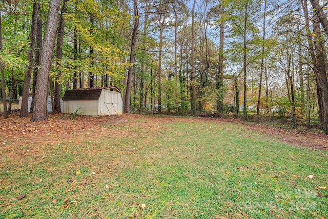 view of yard with a storage unit