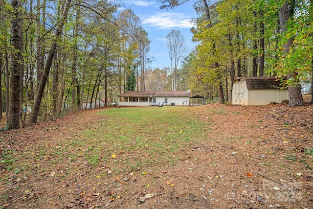 view of yard with a storage unit