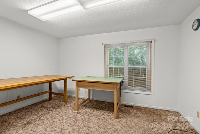 carpeted home office featuring a textured ceiling