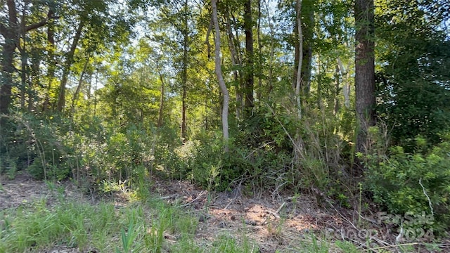 TBD Manhollow Church Rd, Hampstead, NC 28443 - photo 1