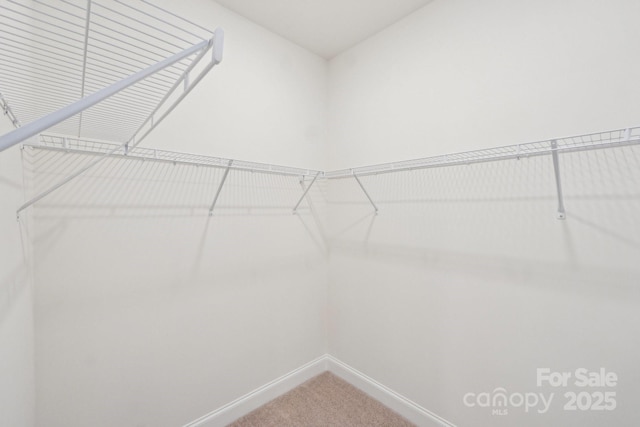 809 Terra Dr, Tega Cay, SC 29708 - walk in closet featuring carpet flooring