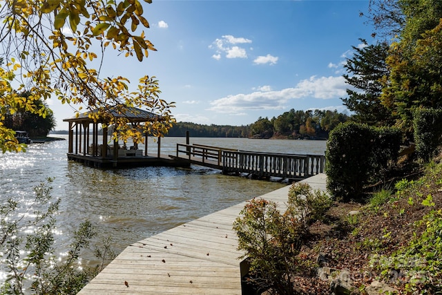 dock area with a water view