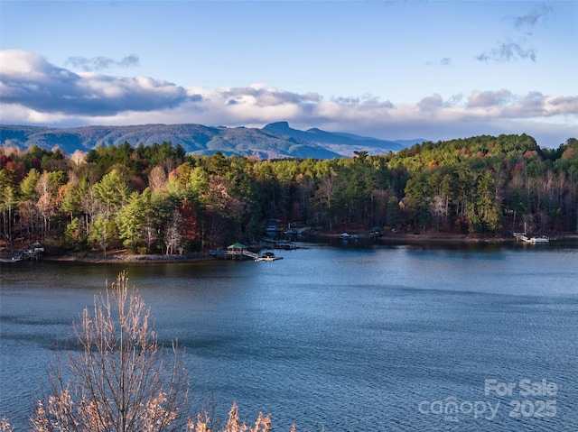 property view of water featuring a mountain view