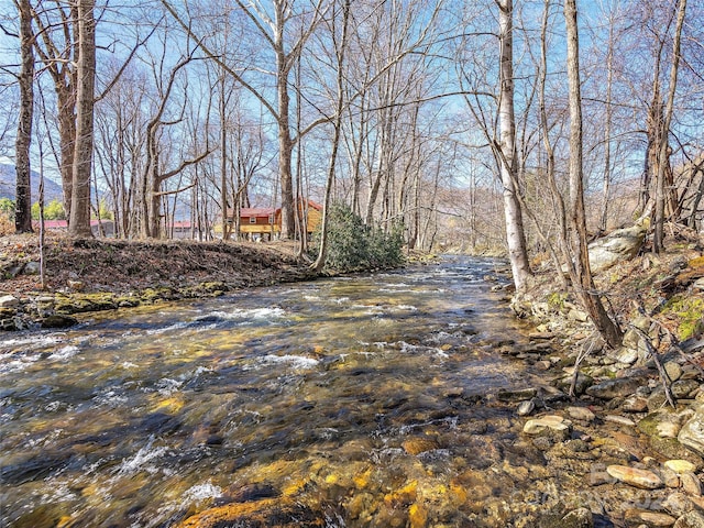 4 Badd Ln, Maggie Valley, NC 28751 - view of yard