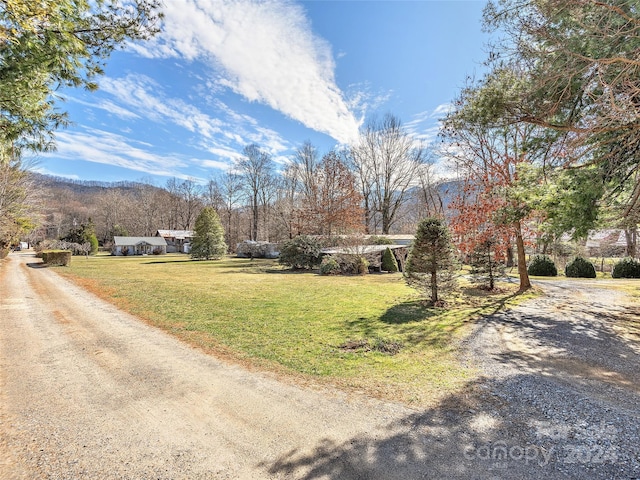 4 Badd Ln, Maggie Valley, NC 28751 - view of street