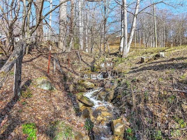 view of local wilderness