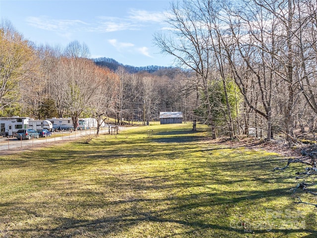 4 Badd Ln, Maggie Valley, NC 28751 - view of grassy yard with a shed, an outbuilding, and a view of trees