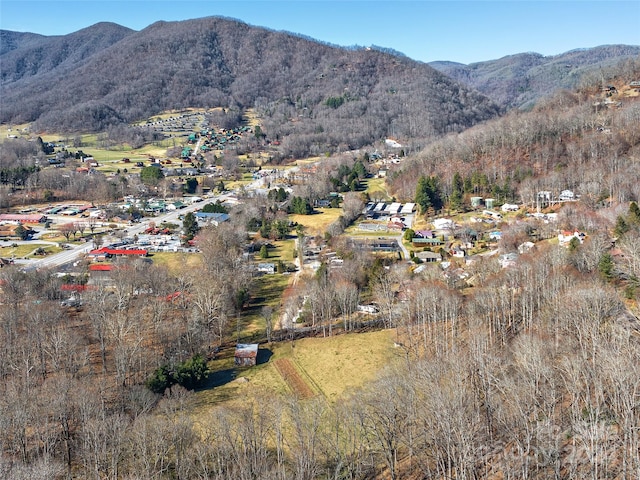 property view of mountains