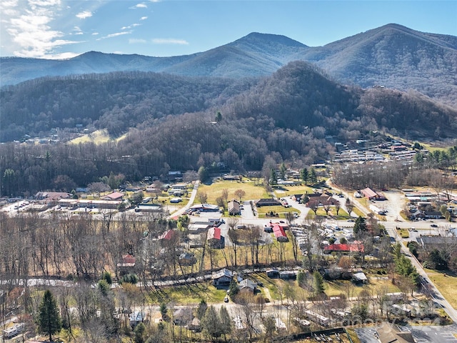 view of mountain feature