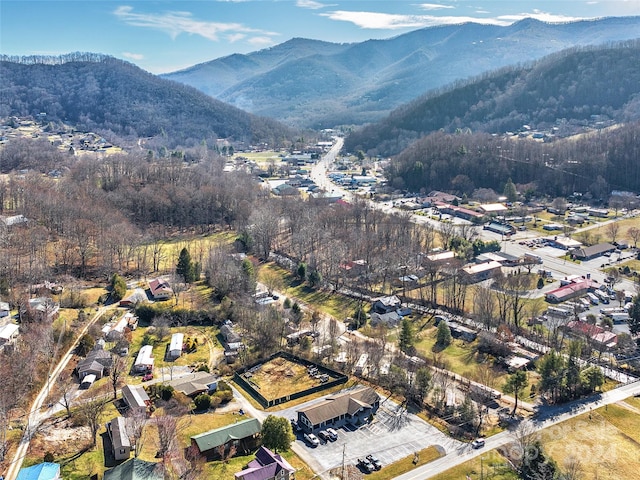 drone / aerial view with a mountain view