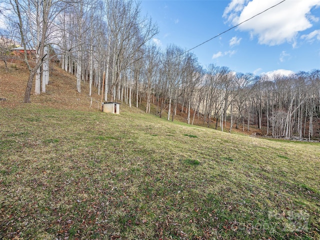 4 Badd Ln, Maggie Valley, NC 28751 - view of green lawn