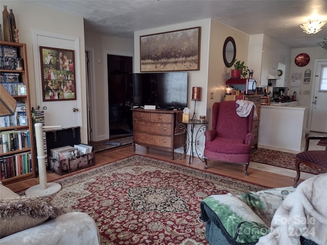 living room with wood-type flooring