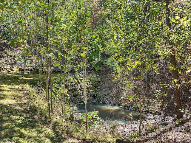 view of nature featuring a wooded view