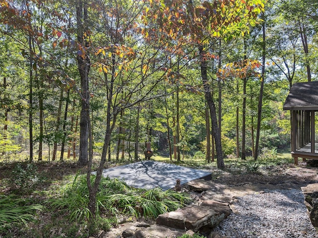 view of yard with a wooded view