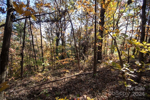 22 Hackberry Rd Unit 22, Connelly Springs, NC 28612