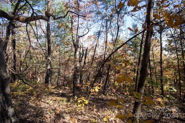 22 Hackberry Rd Unit 22, Connelly Springs, NC 28612