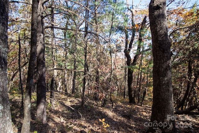 22 Hackberry Rd Unit 22, Connelly Springs, NC 28612